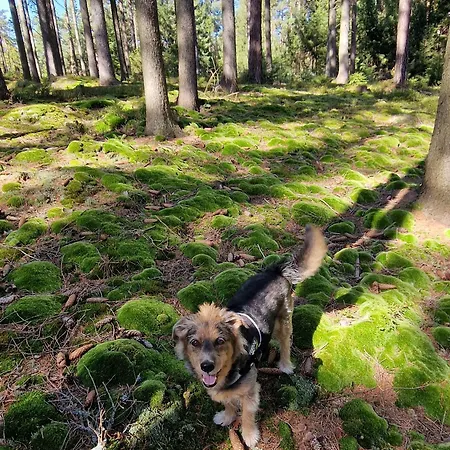 Appartamento Lux Park *