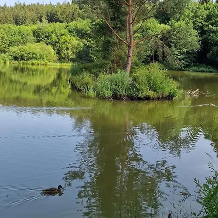 Lux Park Appartamento Polanica-Zdrój