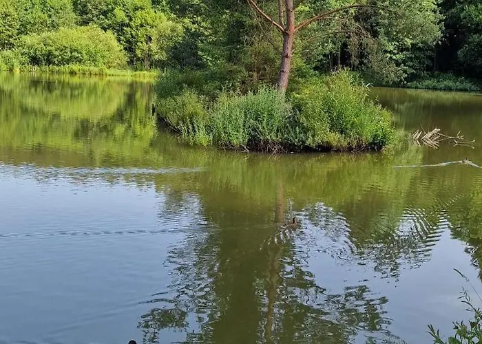 Lux Park Apartmán Polanica-Zdrój
